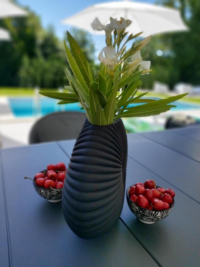 Villa Destiny Nedescina, Istrien, Kroatien Εξωτερικό φωτογραφία