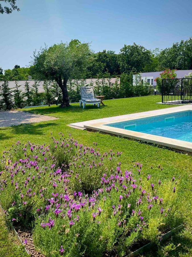 Villa Destiny Nedescina, Istrien, Kroatien Εξωτερικό φωτογραφία